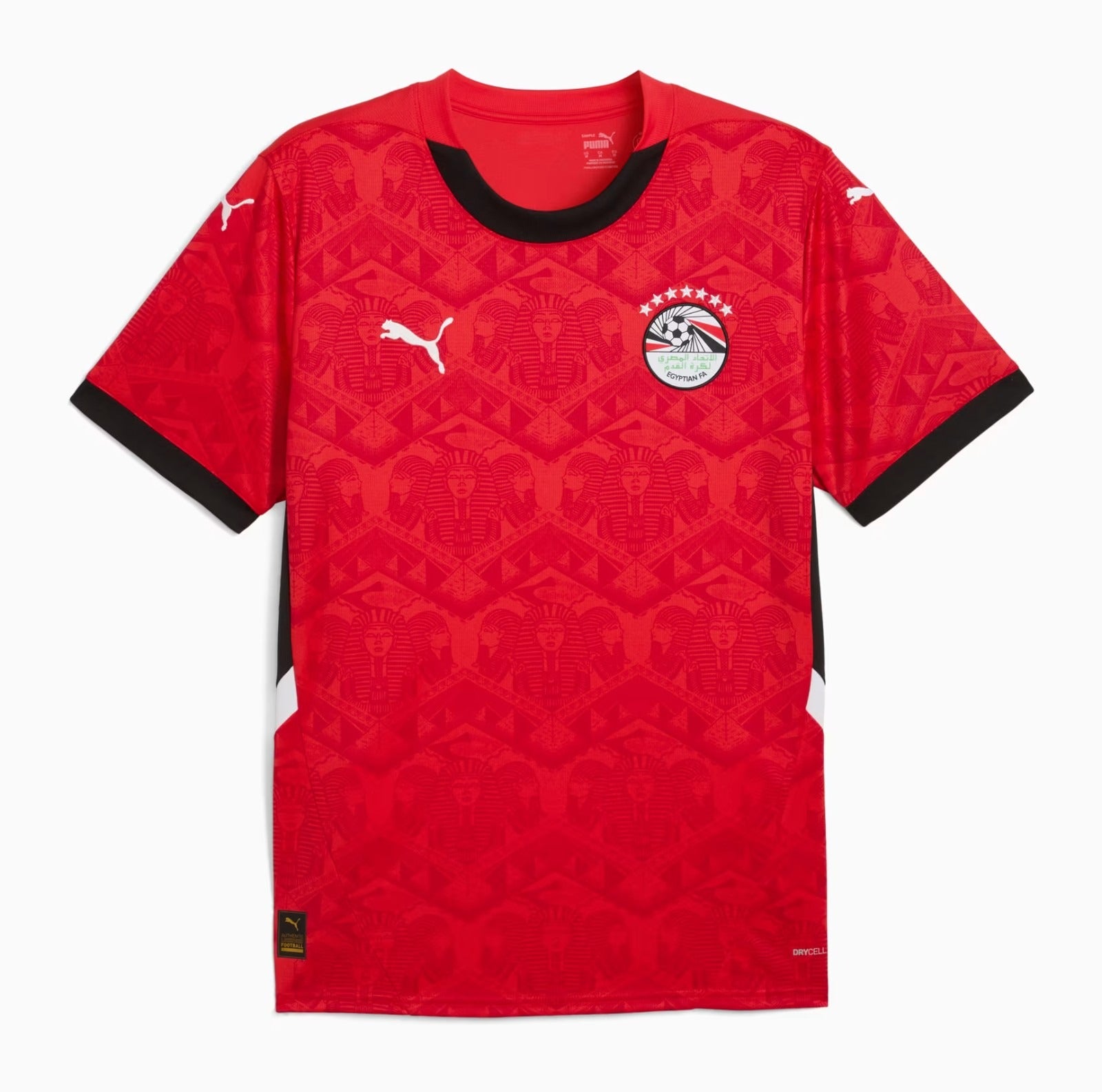 Maillot Domicile Egypte 2024 2025