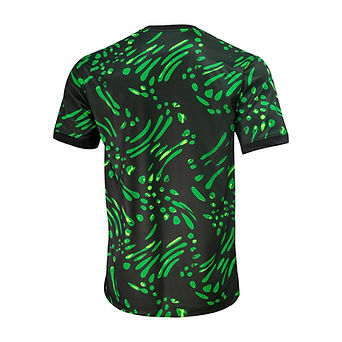 Maillot Domicile Nigéria 2024 2025