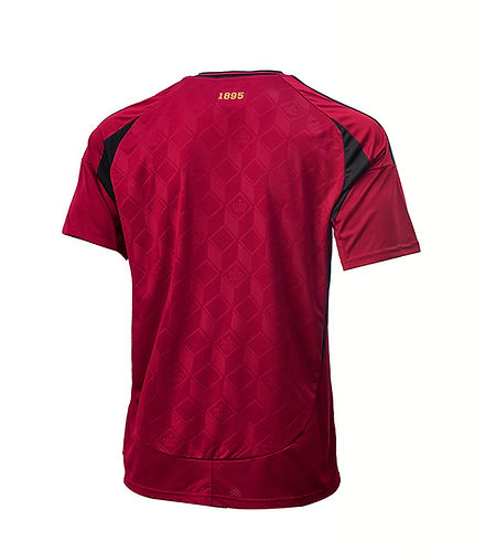 Maillot Domicile Belgique 2024 2025