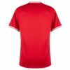 Maillot Extérieur Pologne 2024 2025