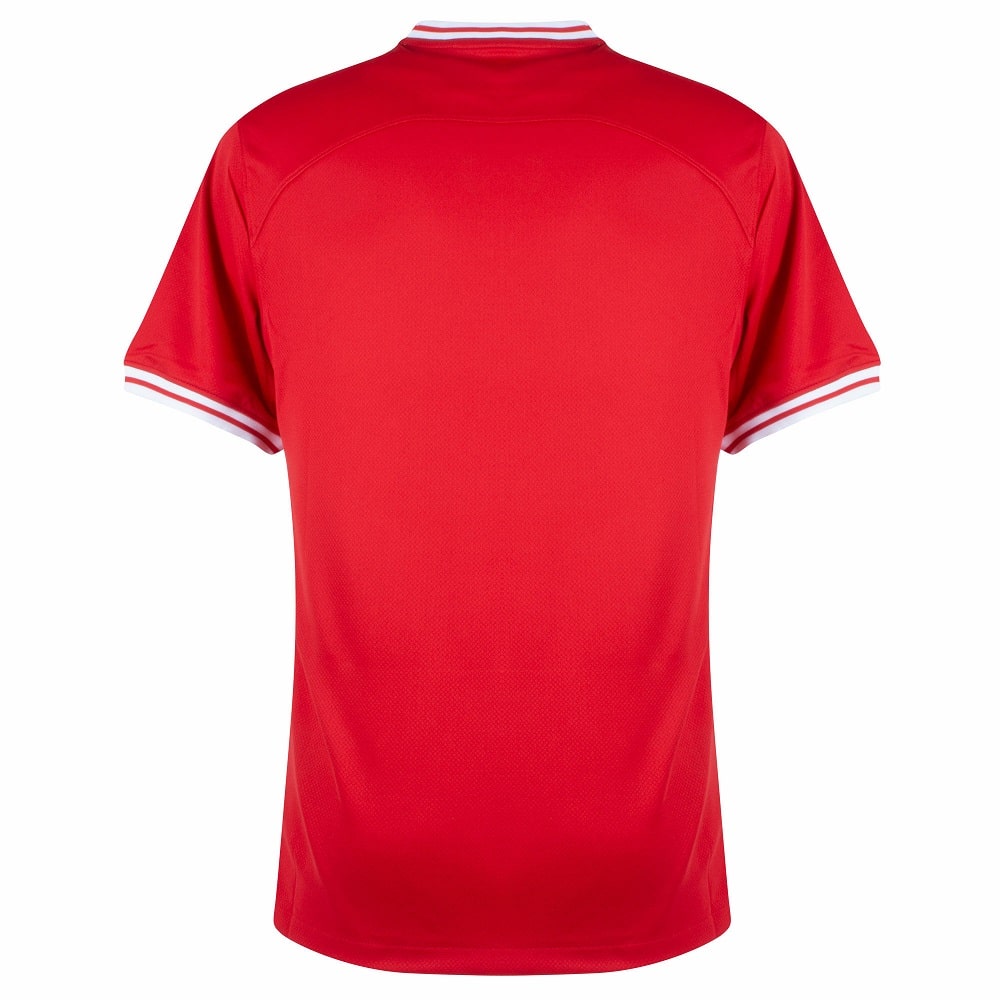 Maillot Extérieur Pologne 2024 2025