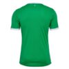 Maillot Domicile AS Saint Etienne 2024 2025