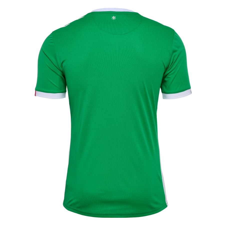 Maillot Domicile AS Saint Etienne 2024 2025
