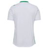 Maillot Exterieur AS Saint Etienne 2024 2025