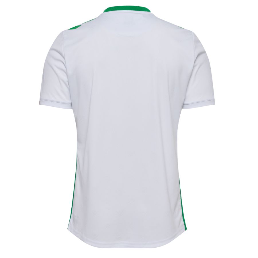 Maillot Exterieur AS Saint Etienne 2024 2025