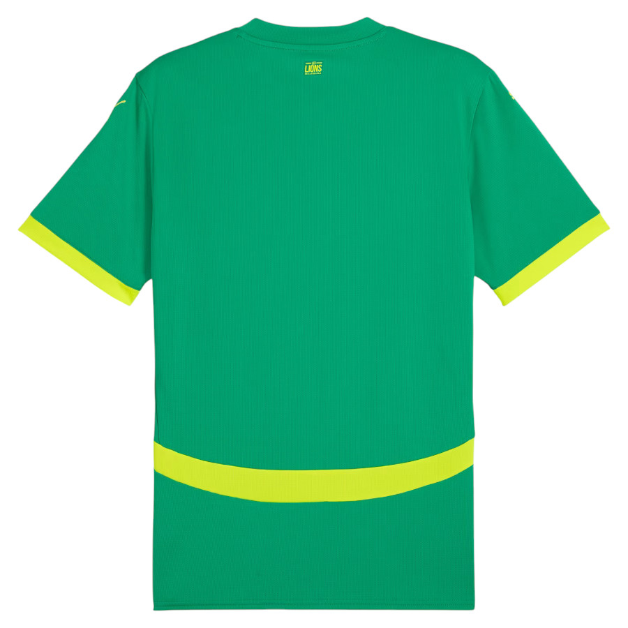 Maillot Exterieur Sénégal 2024 2025