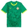 Maillot Exterieur Sénégal 2024 2025