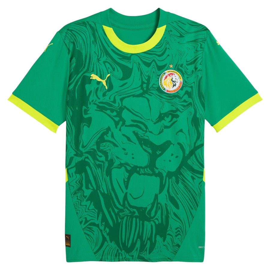 Maillot Exterieur Sénégal 2024 2025
